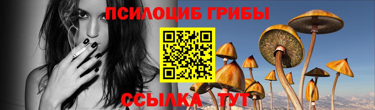 Галлюциногенные грибы MAGIC MUSHROOMS  Вход с VPN  Пенза  Псилоцибиновые грибы Psilocybine cubensis 